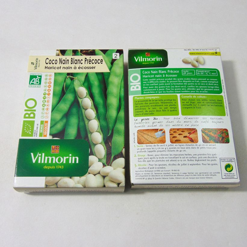 Example of Haricot nain à écosser Coco Blanc précoce Bio - Vilmorin le sachet de 200 graines environ (100g) as you get
