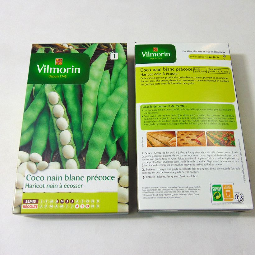 Exemple de spécimen de Haricot nain à écosser Coco Blanc précoce - Vilmorin le sachet de 400 graines environ (200g) tel que livré