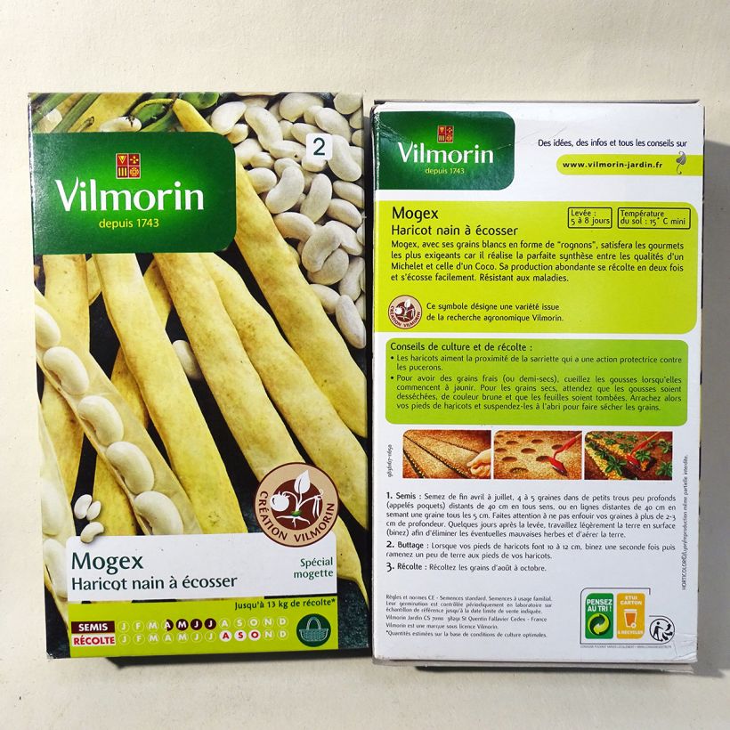 Example of Haricot nain à écosser Mogex Boîte pour semer une ligne de 20 m as you get