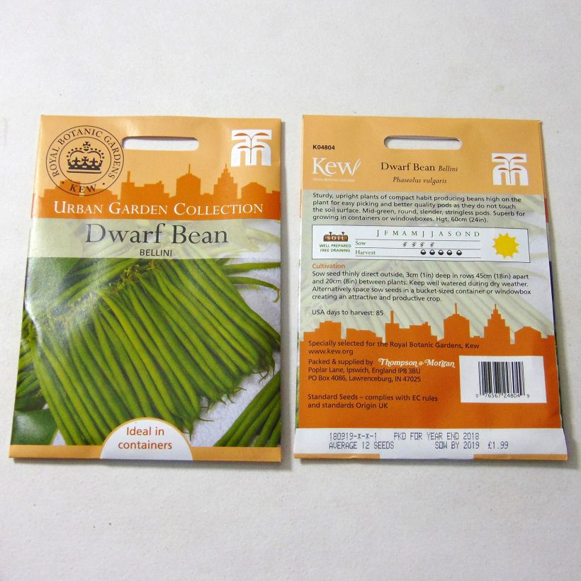 Example of Haricot nain à filet Bellini le sachet de 12 graines environ as you get