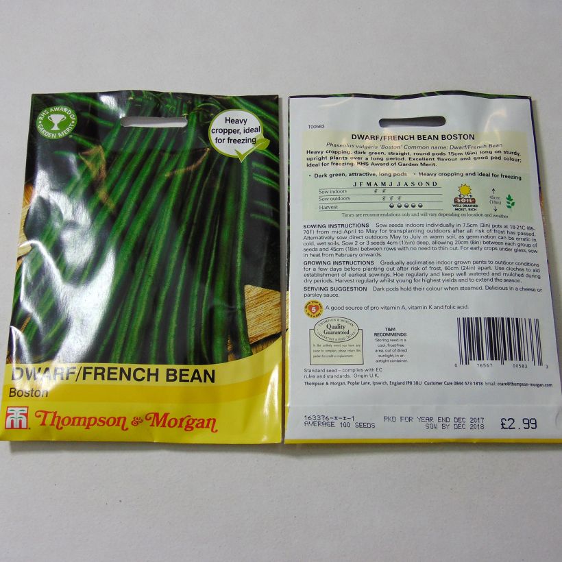 Exemple de spécimen de Haricot nain à filet Boston le sachet de 100 graines environ tel que livré