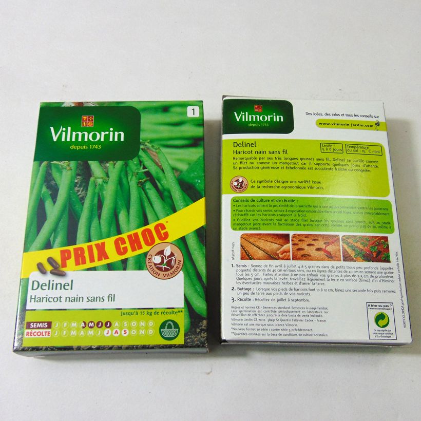 Exemple de spécimen de Haricot nain à filet Delinel - Vilmorin le sachet de 280 graines environ (140g) tel que livré