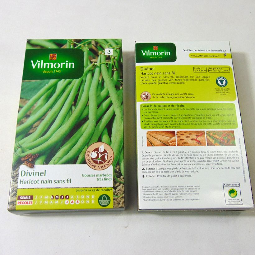 Example of Haricot nain à filet Divinel (Création Vilmorin) - Vilmorin le sachet de 400 graines environ (200g) as you get