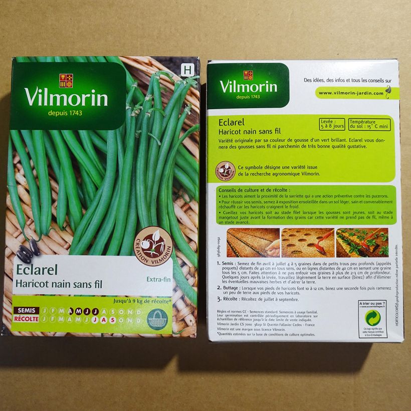 Exemple de spécimen de Haricot nain à filet Eclarel (Création Vilmorin) - Vilmorin Boîte pour semer une ligne de 10 m tel que livré