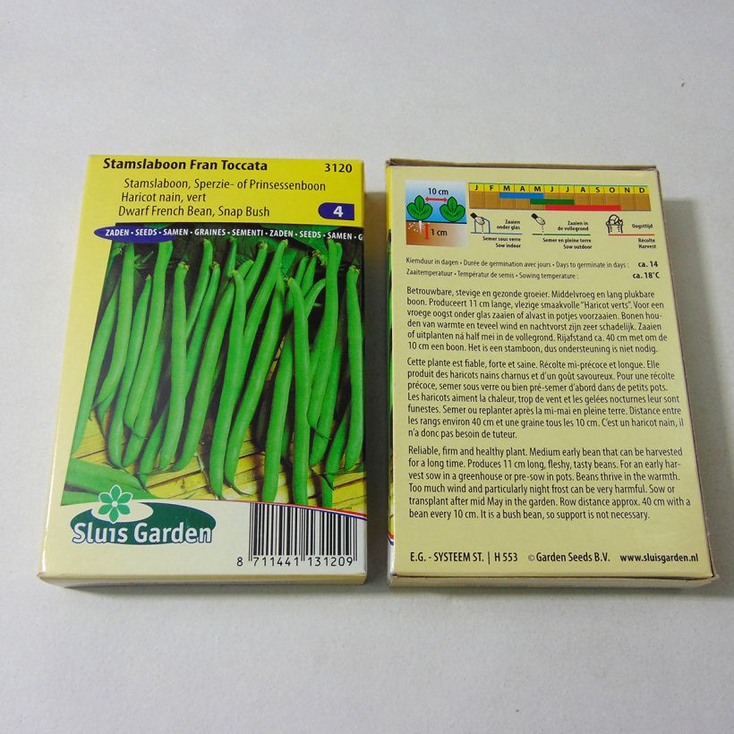 Example of Haricot nain à filet Fran Toccata le sachet de 150 graines environ (75g) as you get