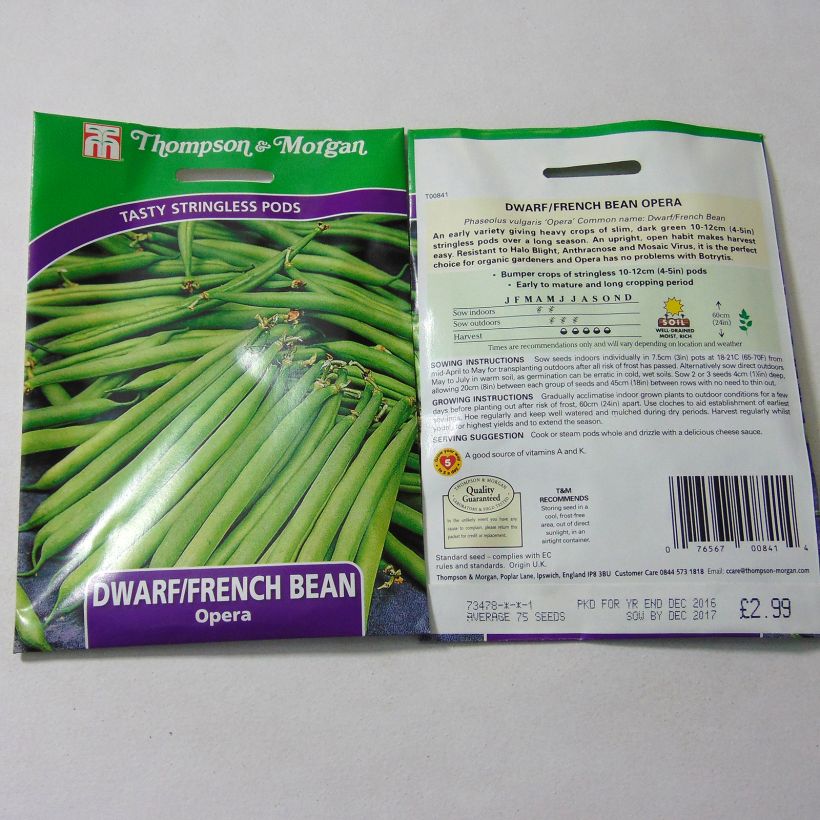 Exemple de spécimen de Haricot nain à filet Opera le sachet de 75 graines environ tel que livré