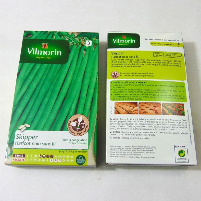 Exemple de spécimen de Haricot nain à filet Skipper (Création Vilmorin) - Vilmorin le sachet de 400 graines environ (200g) tel que livré