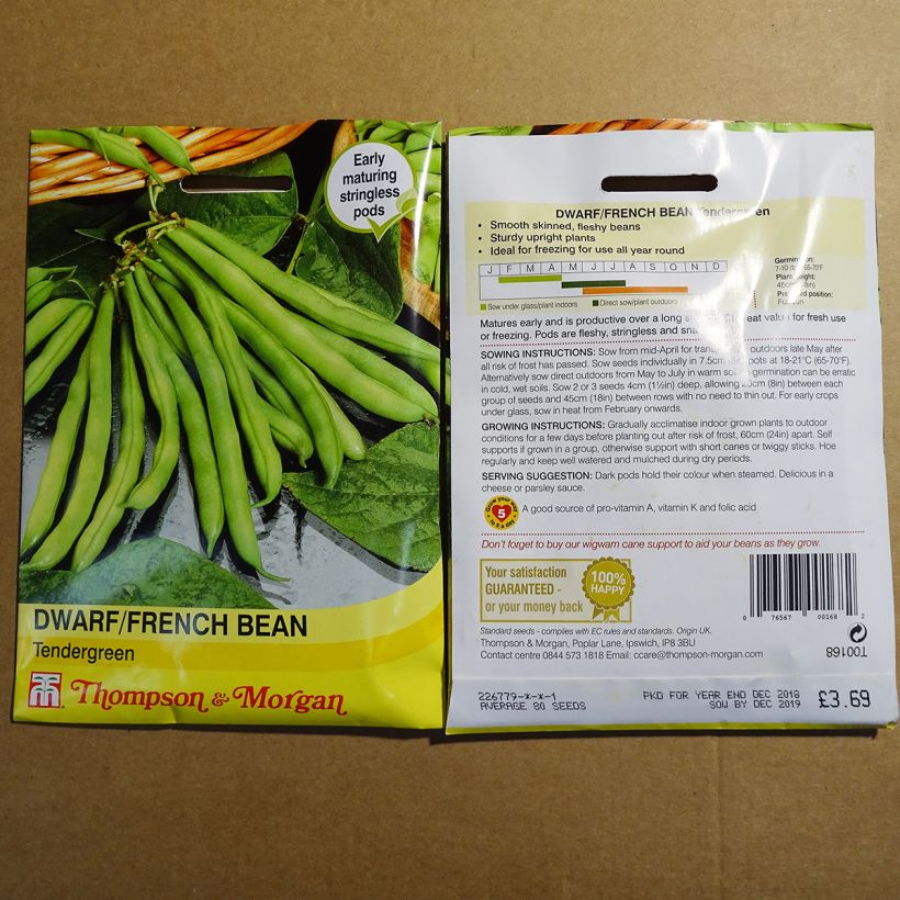 Exemple de spécimen de Haricot nain à filet Tendergreen le sachet de 80 graines environ tel que livré