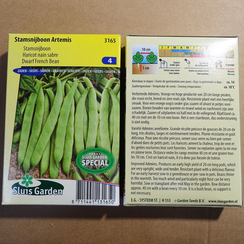 Exemple de spécimen de Haricot nain mangetout Artemis - Coco plat - Phaseolus vulgaris le sachet de 200 graines environ (100g) tel que livré
