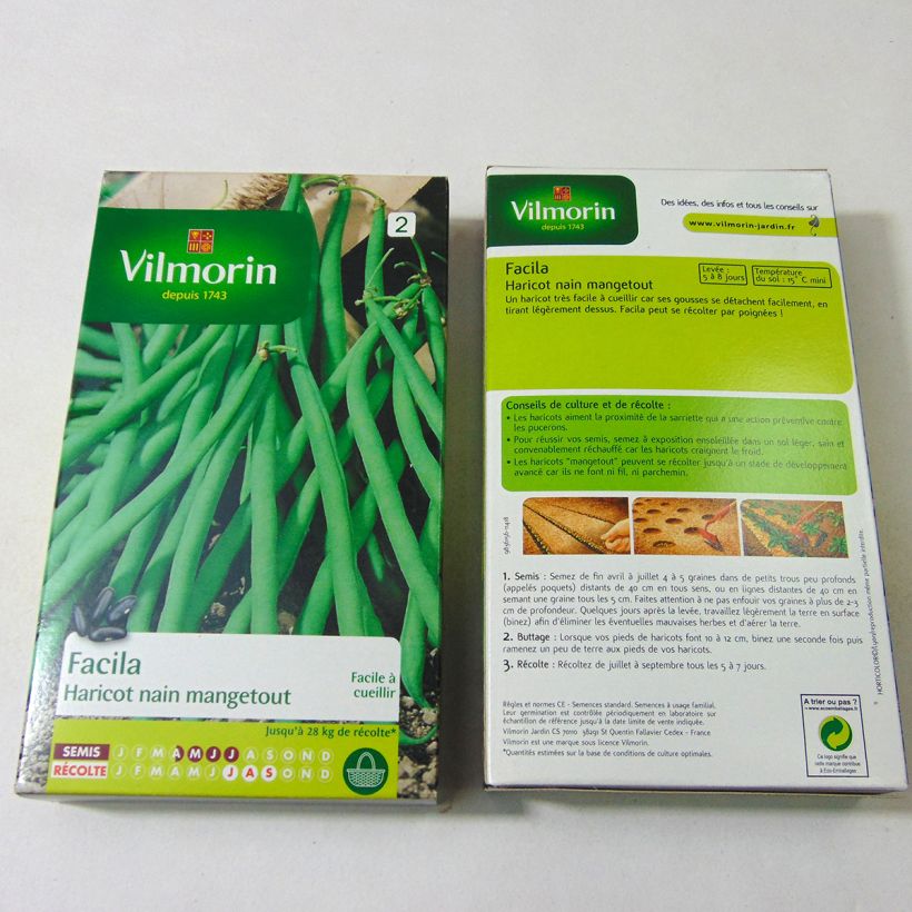 Exemple de spécimen de Haricot nain mangetout Facila (facile à cueillir) - Vilmorin le sachet de 400 graines environ (200g) tel que livré