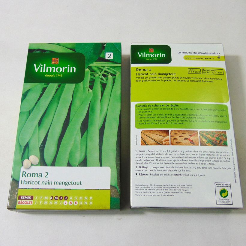 Exemple de spécimen de Haricot nain mangetout Roma 2 - Coco plat- Vilmorin le sachet de 300 graines environ (150g) tel que livré