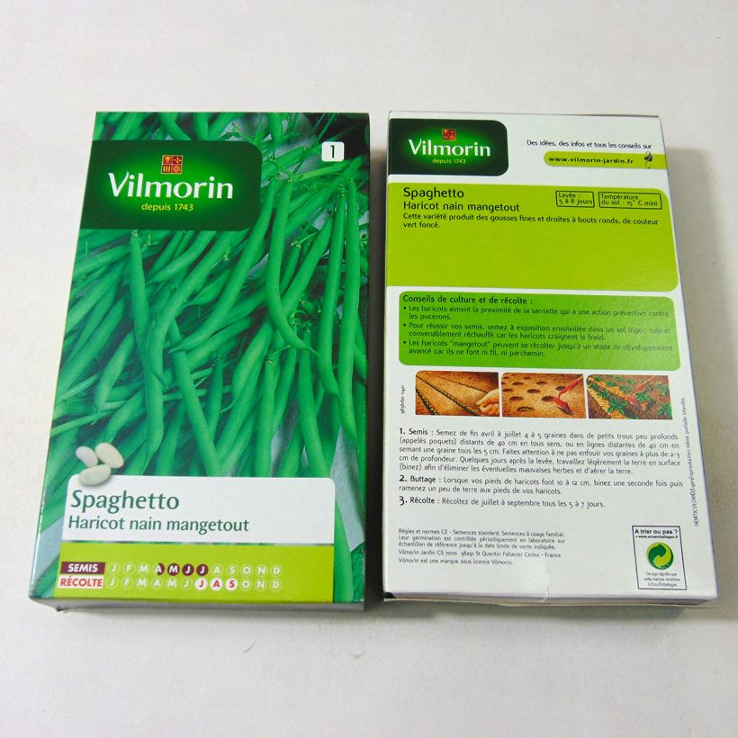 Example of Haricot nain mangetout Spaghetto - Vilmorin le sachet de 350 graines environ (175g) as you get