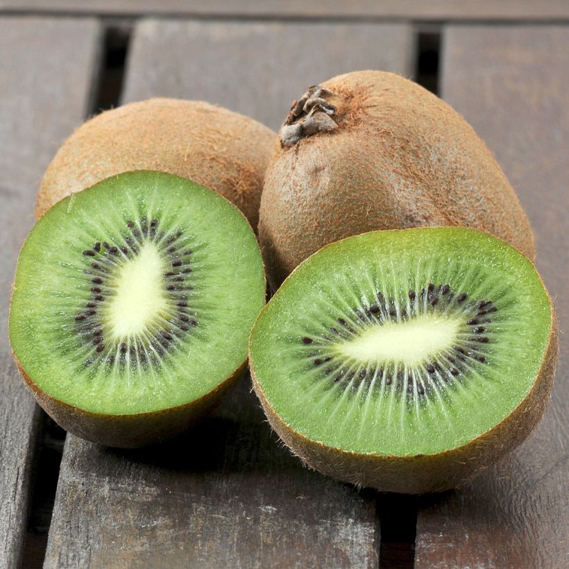 Kiwi autofertile Boskoop - Actinidia deliciosa (Harvest)