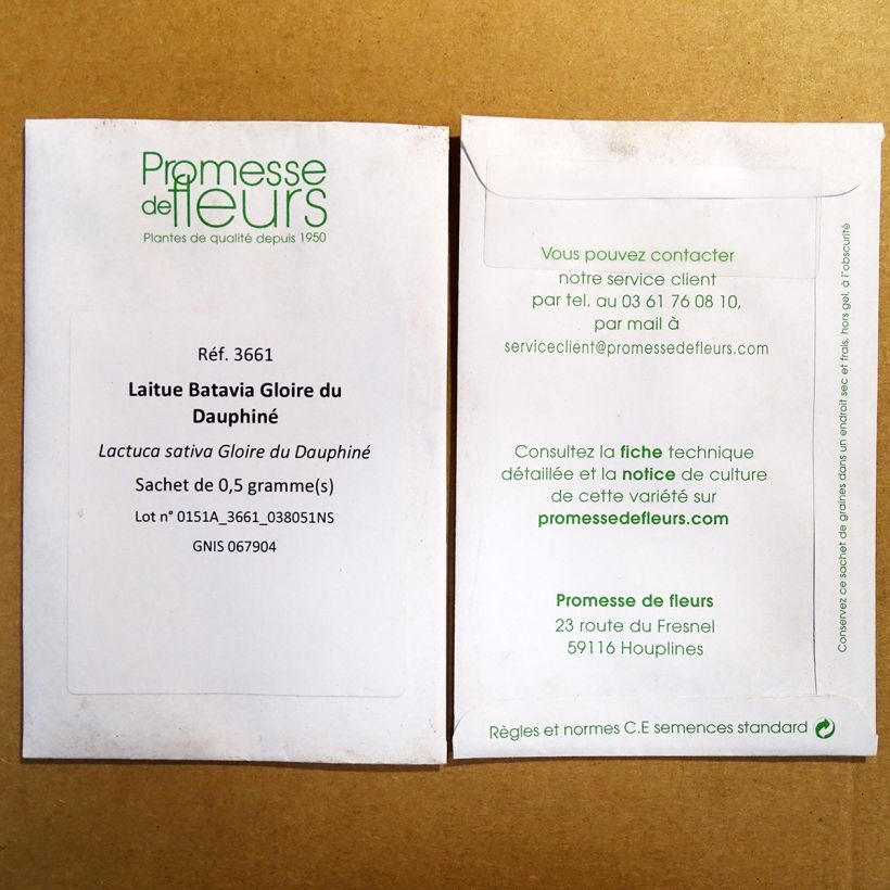 Example of Laitue Batavia Gloire du Dauphiné - Lactuca sativa le sachet de 400 graines environ as you get