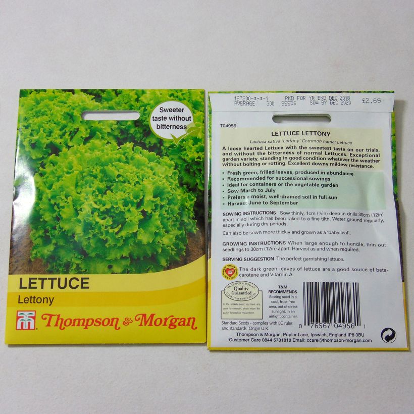 Exemple de spécimen de Laitue Batavia Lettony le sachet de 300 graines environ tel que livré