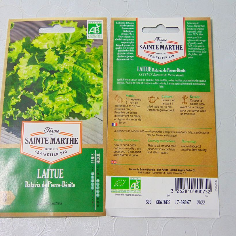 Example of Laitue Batavia de Pierre Bénite Bio - Ferme de Sainte Marthe le sachet de 500 graines environ (3g) as you get