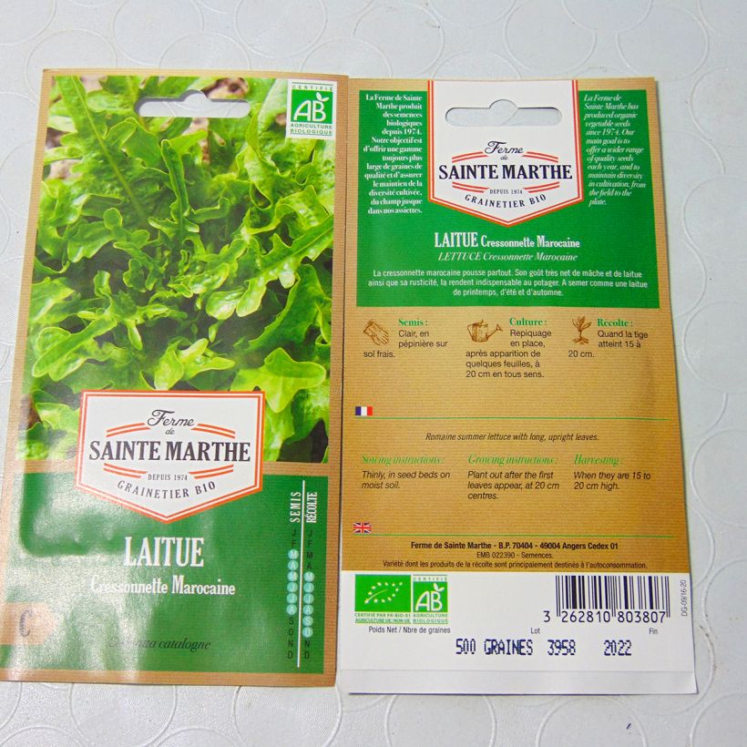 Example of Laitue Cressonnette Marocaine (Radichetta) Bio - Ferme de Sainte Marthe - Graines de salade à couper le sachet de 400 graines environ as you get