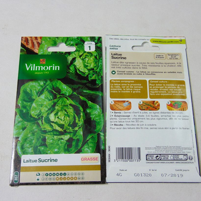 Example of Laitue Grasse Sucrine - Vilmorin le sachet de 3200 graines environ (4g) as you get