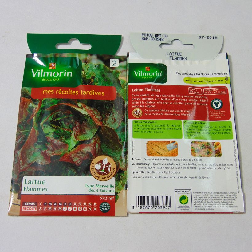 Example of Laitue Pommée Flammes (Création Vilmorin) - Vilmorin le sachet de 2400 graines environ (3g) as you get