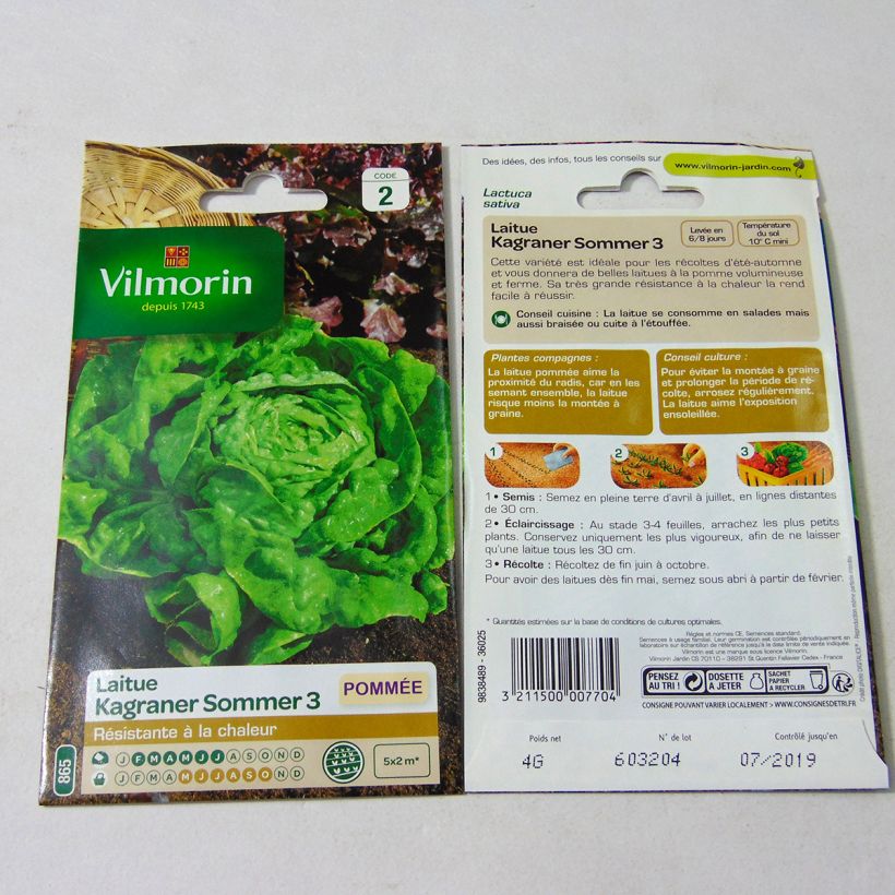 Example of Laitue Pommée Kagraner Sommer 3  le sachet de 3200 graines environ (4g) as you get