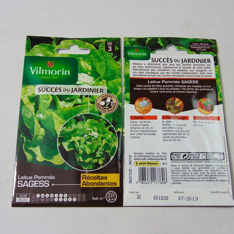 Example of Laitue Pommée Sagess (Création Vilmorin) - Vilmorin le sachet de 2400 graines environ (3g) as you get