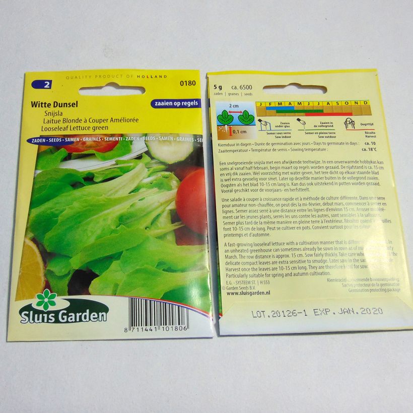Example of Laitue à couper Blonde améliorée - Lactuca sativa le sachet de 6500 graines environ (5g) as you get