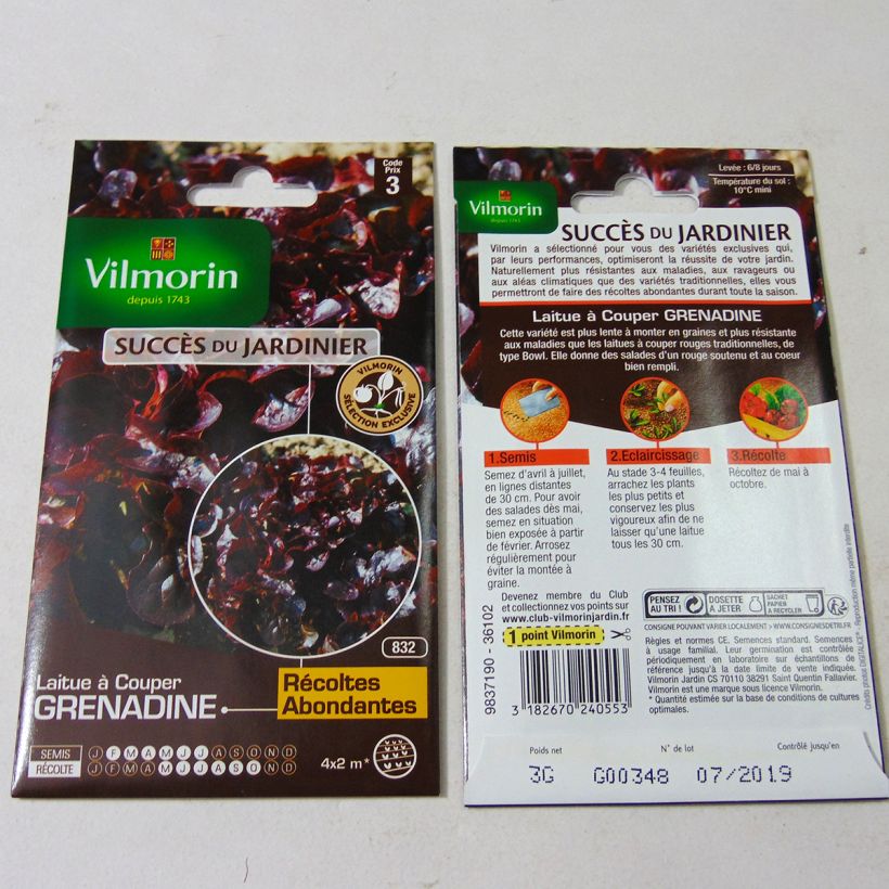 Example of Laitue à couper Feuille de Chêne Grenadine (Obtention Vilmorin) - Vilmorin le sachet de 3000 graines environ (3g) as you get