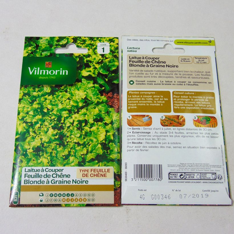 Example of Laitue à couper Feuille de Chêne blonde à graines noires - Vilmorin le sachet de 4000 graines environ (4g) as you get