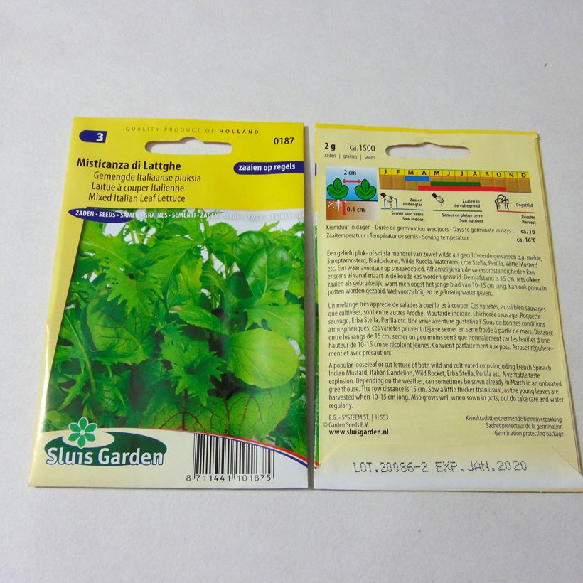 Exemple de spécimen de Laitue à couper Italienne Misticanza di Lattghe - Mélange - Mesclun le sachet de 1500 graines environ (2g) tel que livré