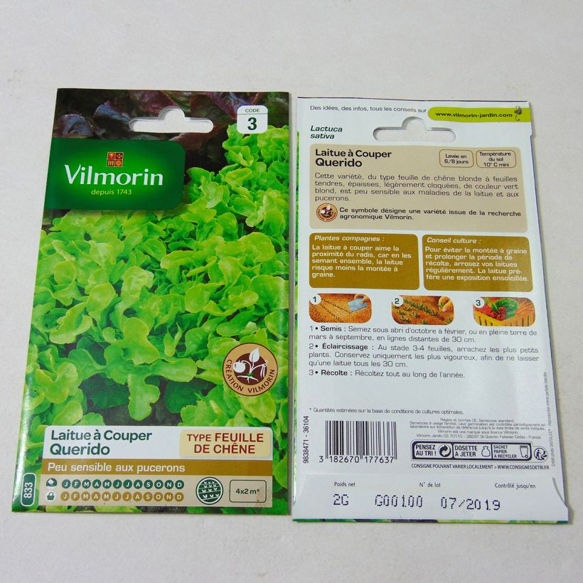 Exemple de spécimen de Laitue à couper Querido (Création Vilmorin) - Vilmorin le sachet de 1600 graines environ (2g) tel que livré