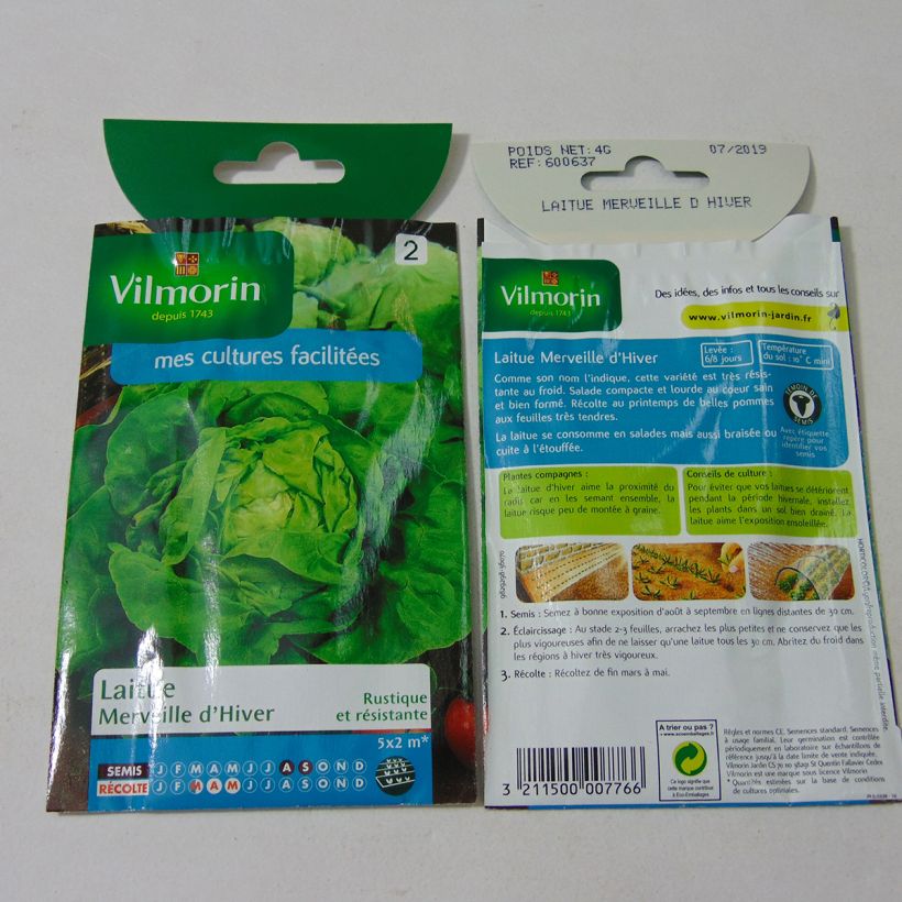 Example of Laitue d'Hiver Merveille d'Hiver - Vilmorin le sachet de 3200 graines environ (4g) as you get