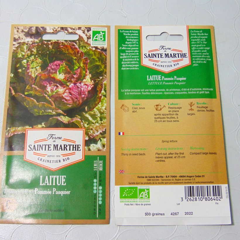 Example of Laitue pommée Pasquier Bio - Ferme de Sainte Marthe le sachet de 600 graines environ as you get