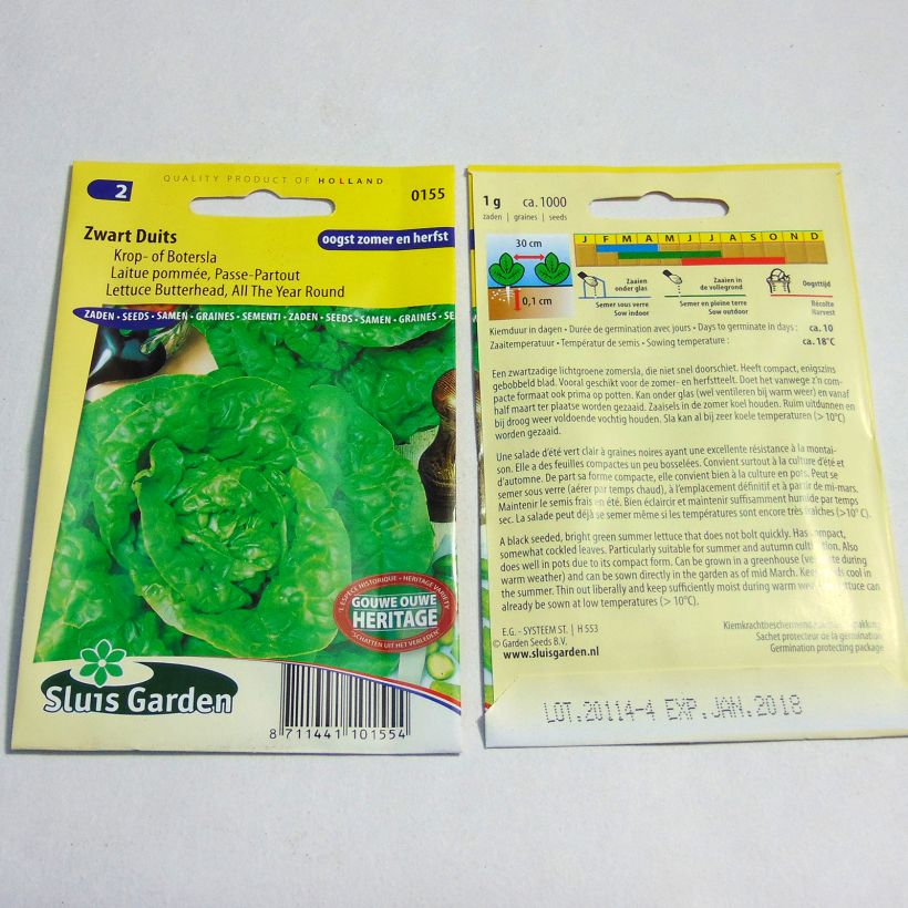 Example of Laitue pommée Passe-Partout - Lactuca sativa le sachet de 1000 graines environ (1g) as you get