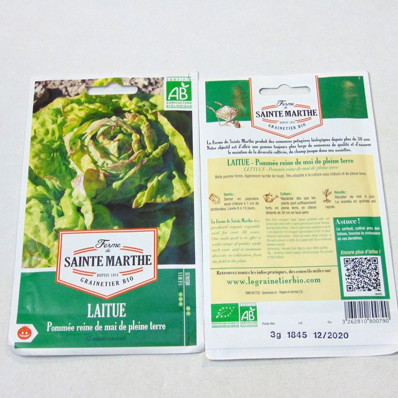 Example of Laitue pommée Reine de Mai de pleine terre Bio - Ferme de Sainte Marthe le sachet de 2500 graines environ (3g) as you get