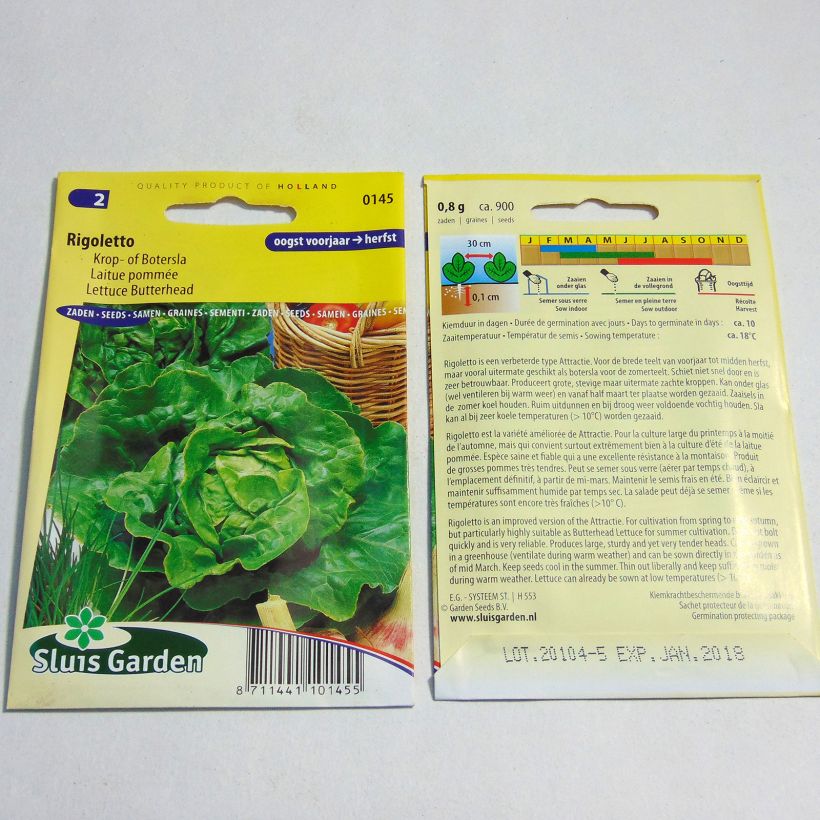 Example of Laitue pommée Rigoletto - Lactuca sativa le sachet de 900 graines environ as you get