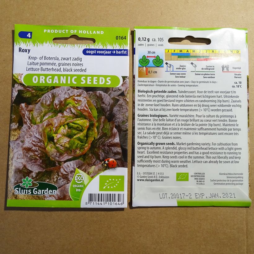 Exemple de spécimen de Laitue pommée Roxy Bio le sachet de 105 graines environ (0.12g) tel que livré