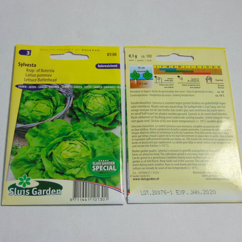 Example of Laitue pommée Sylvesta - Lactuca sativa le sachet de 100 graines environ as you get