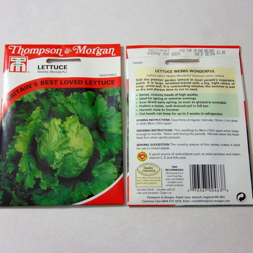Example of Laitue pommée Webbs Wonderful le sachet de 1500 graines environ as you get