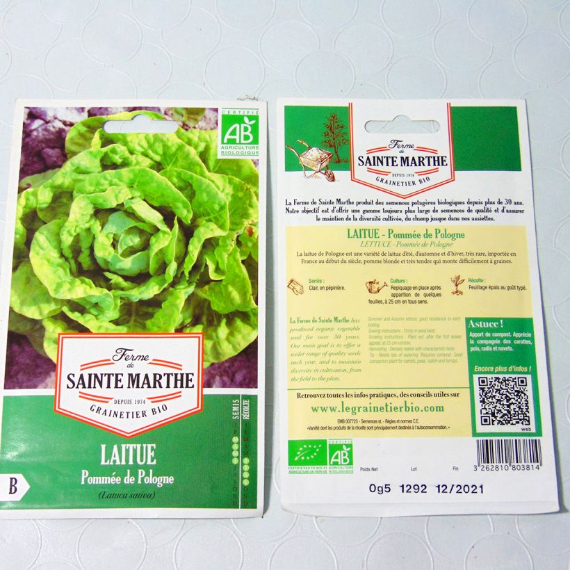 Example of Laitue pommée de Pologne Bio - Ferme de Sainte Marthe le sachet de 500 graines environ as you get