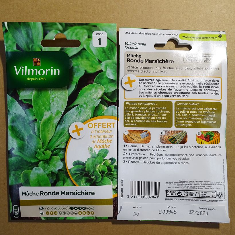 Exemple de spécimen de Mâche Ronde Maraîchère + échantillon Mâche Agathe - Vilmorin le sachet de 1900 graines environ (3g) tel que livré