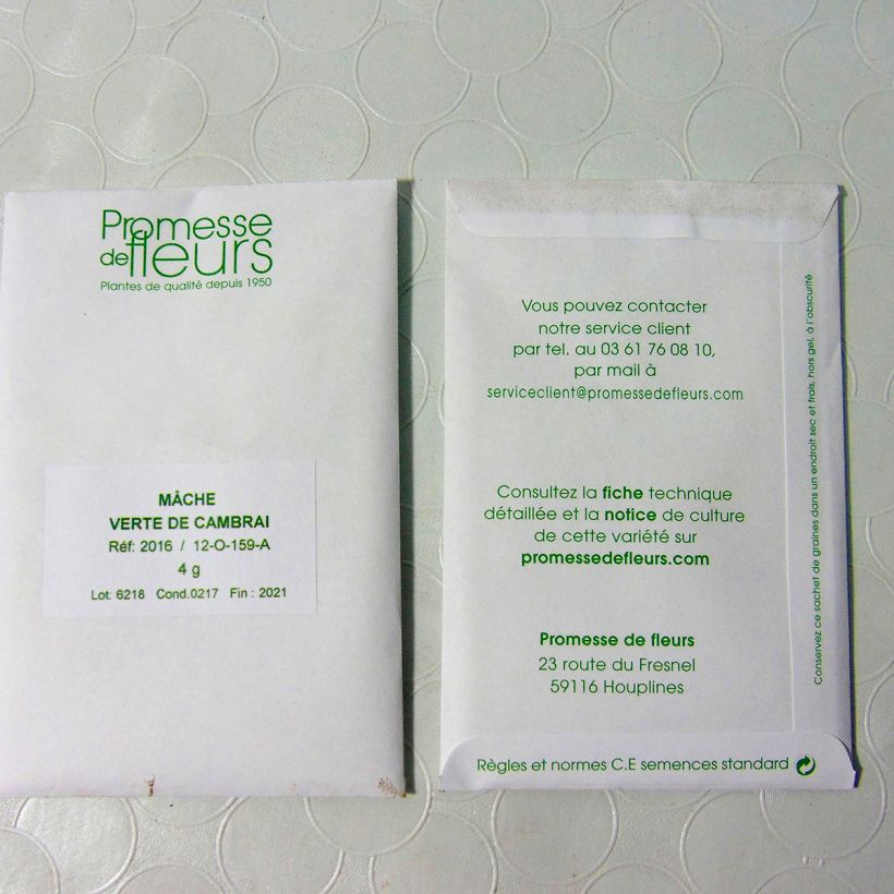 Example of Mâche Verte de Cambrai le sachet de +/- 3000 graines environ (minimum 4g) as you get