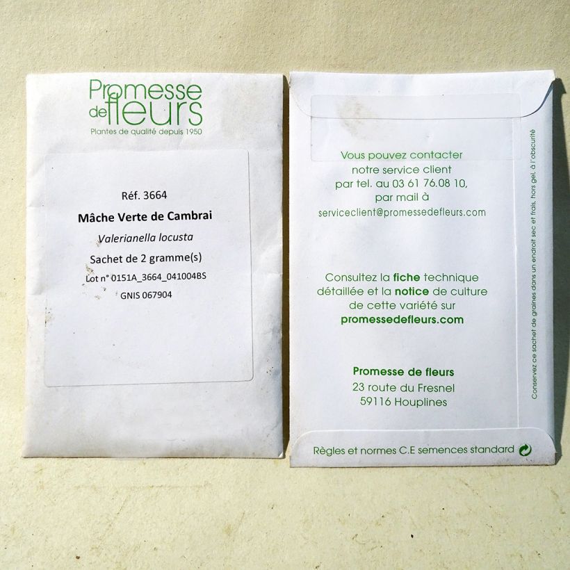 Example of Mâche Verte de Cambrai le sachet de 1300 graines environ (2g) as you get