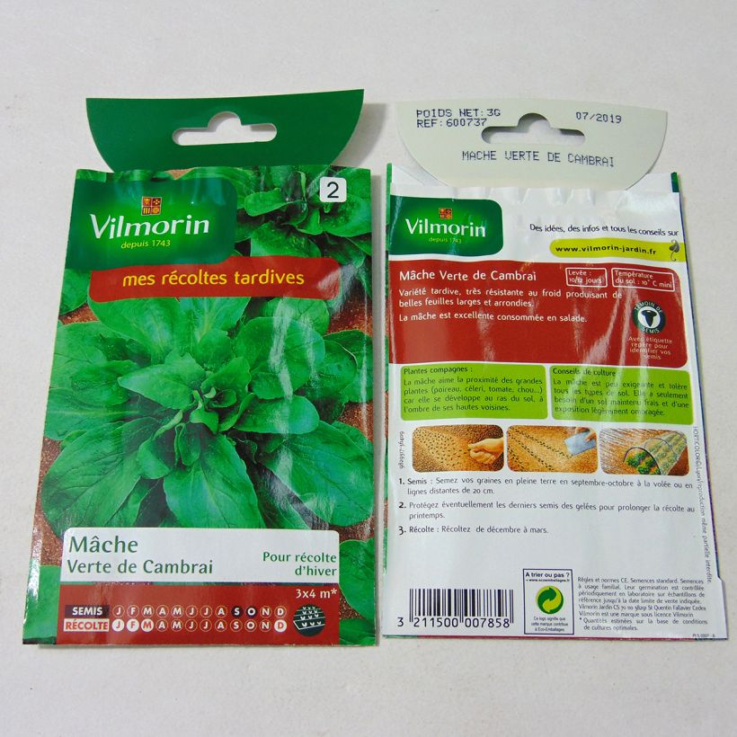 Example of Mâche Verte de Cambrai - Vilmorin le sachet de 1900 graines environ (3g) as you get