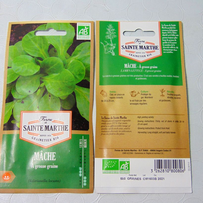 Example of Mâche à Grosse Graine Bio - Ferme de Sainte Marthe le sachet de 300 graines environ as you get