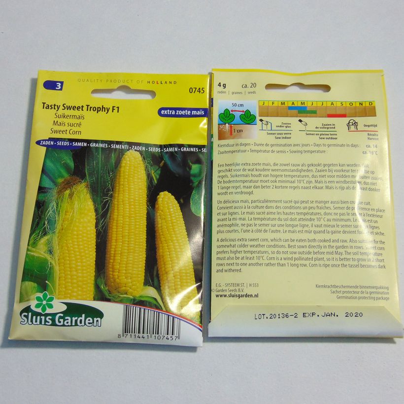 Exemple de spécimen de Maïs sucré Tasty Sweet Trophy F1 - Zea Mays le sachet de 20 graines environ (4g) tel que livré