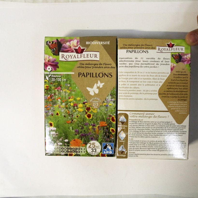 Example of Mélange pour attirer les papillons - Boite 25 m2 Boite pour 25 m² as you get