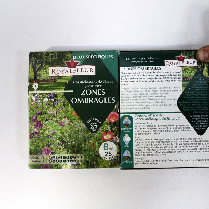 Example of Mélange pour zones ombragées - Boite 8 m2 Boite pour 8 m² as you get
