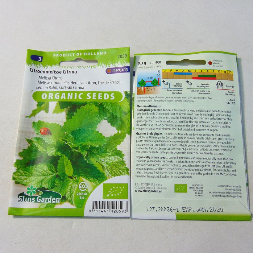 Example of Mélisse citronnelle Bio Graines le sachet de +/- 1000 graines environ (minimum 0,6g) as you get