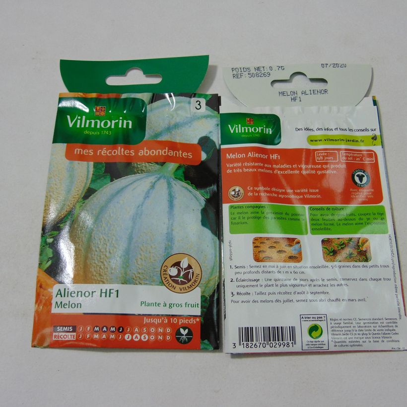 Exemple de spécimen de Melon Aliénor F1 (Création Vilmorin) - Vilmorin le sachet de 21 graines environ (0.7g) tel que livré