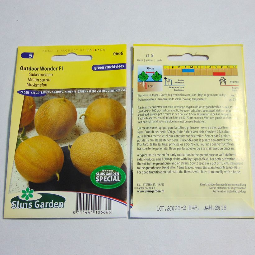 Exemple de spécimen de Melon Outdoor Wonder F1 le sachet de 8 graines environ tel que livré